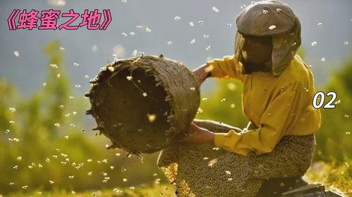 蜂蜜之地,探寻蜂蜜之地的神秘魅力