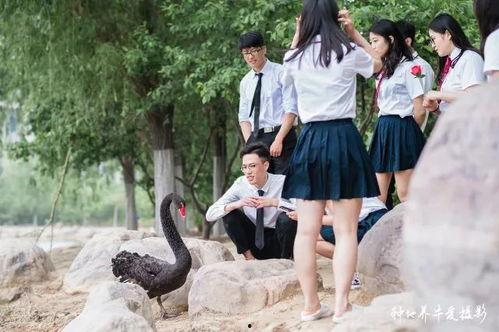 亲爱的学弟学妹 第二季,青春续篇，梦想再启航